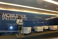 Flavia-Fernandes-Cerimonial-78